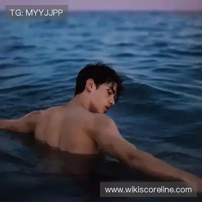 支宏聪